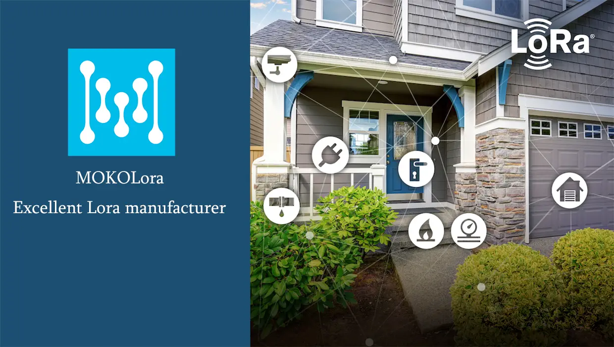 mokolora, lora IoT device manufacturer