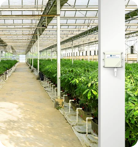 LW002-TH درجة حرارة LoRaWAN®&تطبيق مستشعر الرطوبة في تخزين ونقل المواد الغذائية الطازجة