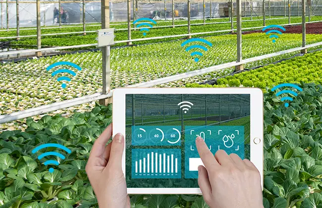 LoRaWAN Application in smart agriculture