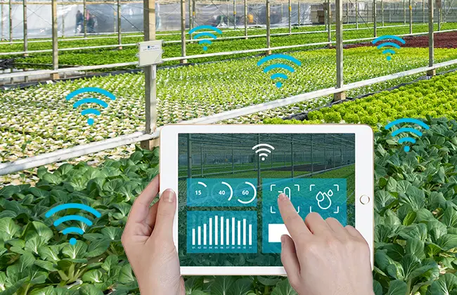 Aplicación LoRaWAN en agricultura inteligente