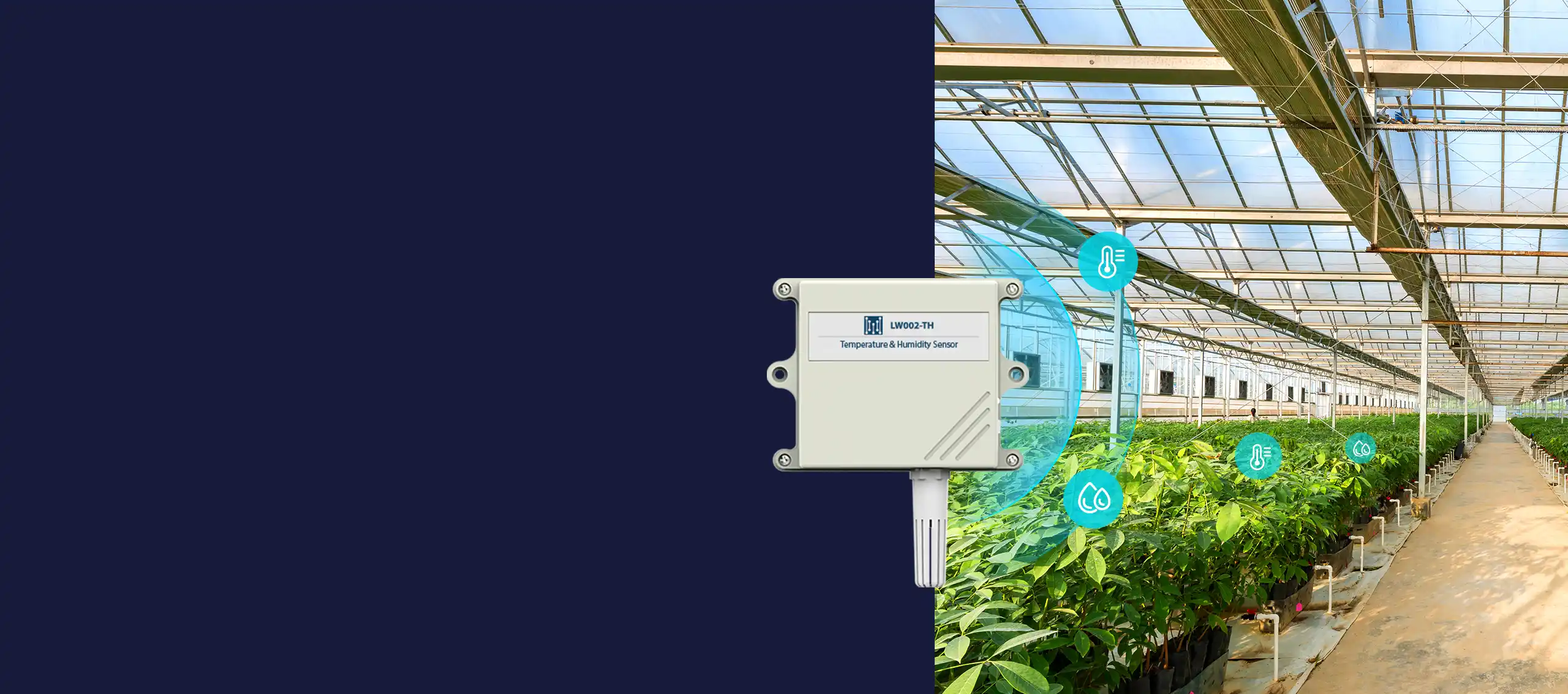 درجة حرارة & مراقبة الرطوبة عن طريق درجة حرارة LoRaWAN&مستشعر الرطوبة LW002-TH