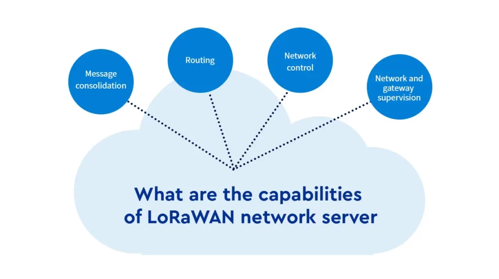 LoRaWAN ağ sunucusunun yetenekleri nelerdir?