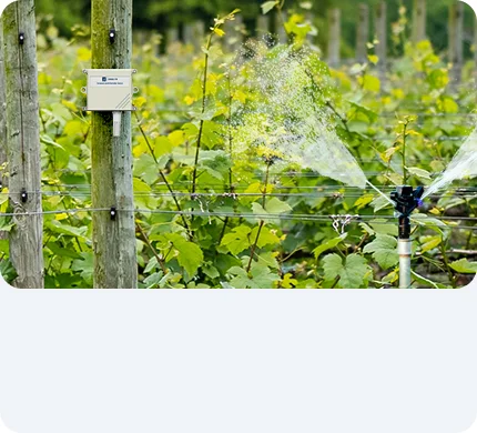 Un système d'irrigation intelligent utilisant LoRaWAN augmente la productivité des fruits
