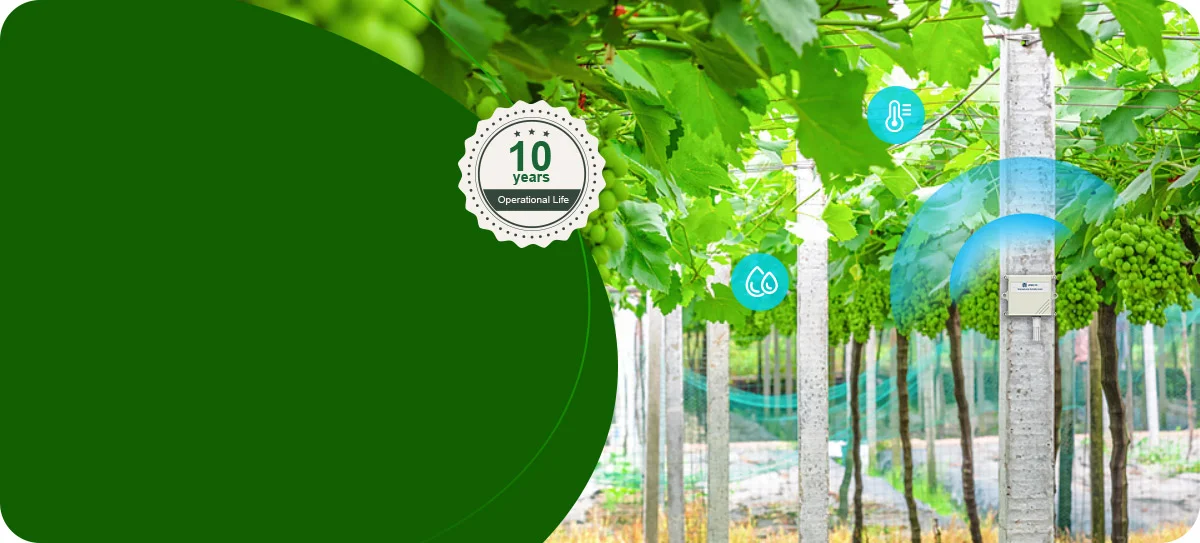 Γιατί το MOKOLoRa για το έξυπνο σύστημα άρδευσης