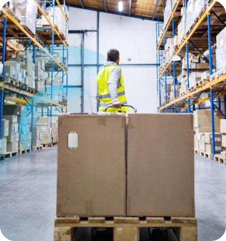 LW008-MT/MTP LoRaWAN Tracker in Warehouse Management applications