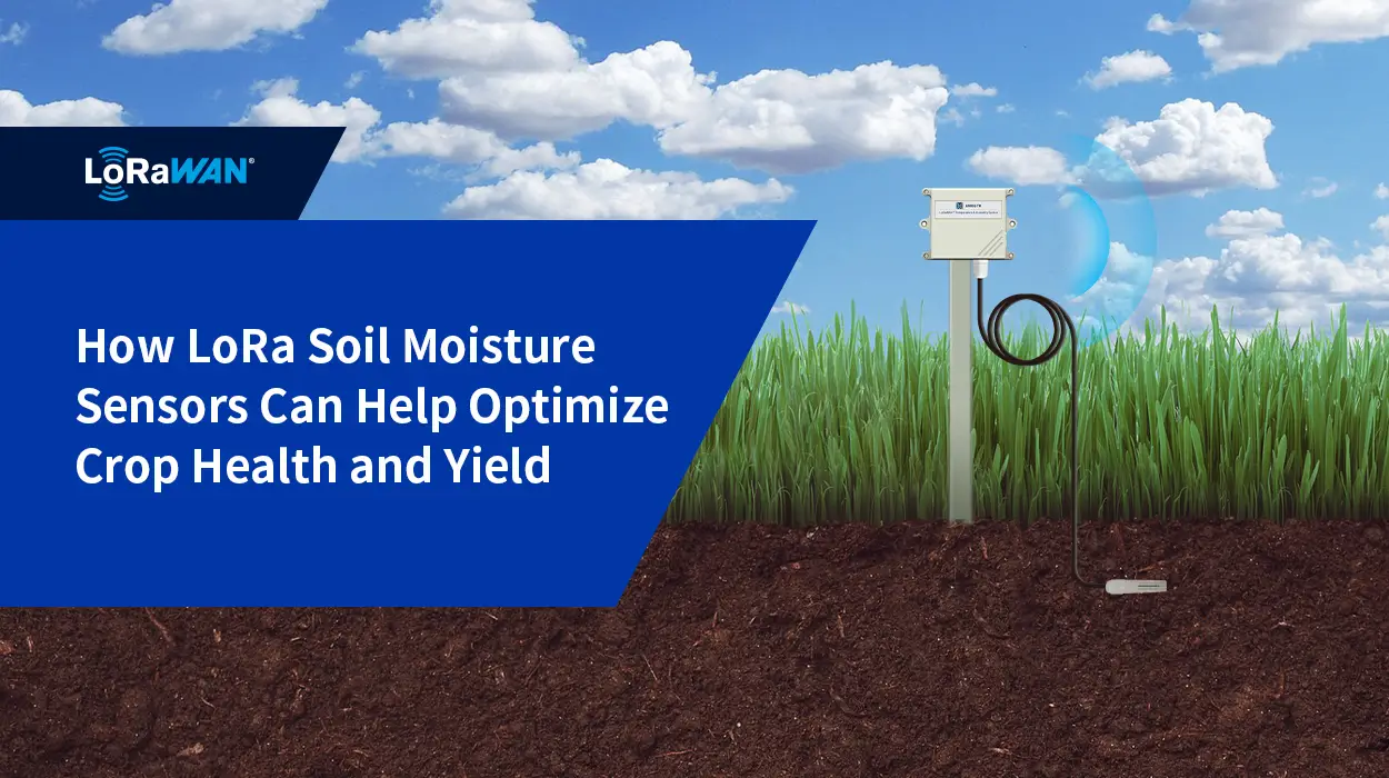 How LoRa Soil Moisture Sensors Can Help Optimize Crop Health and Yield